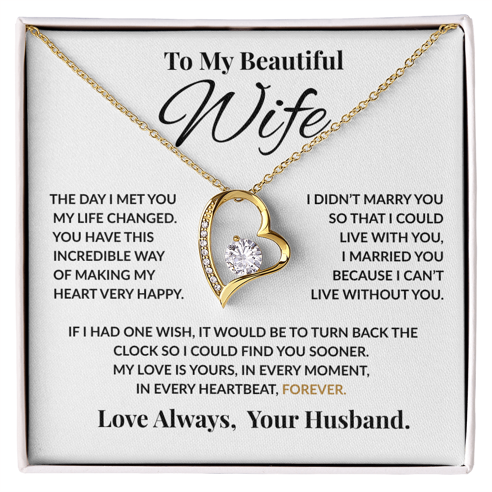Special Gift For Wife “The Day I Met You My Life Changed” Forever Love Necklace