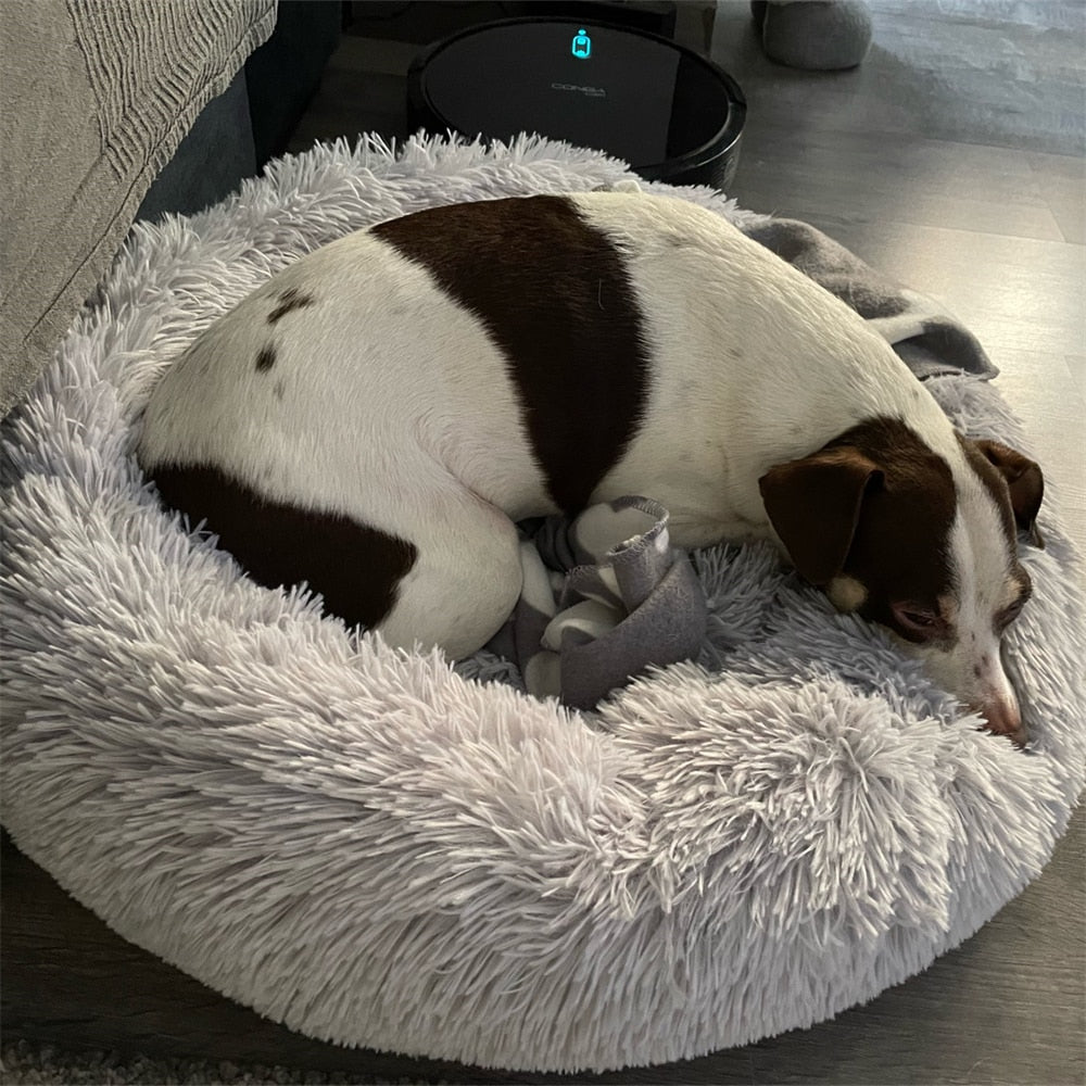 Comfy Calming Dog Bed