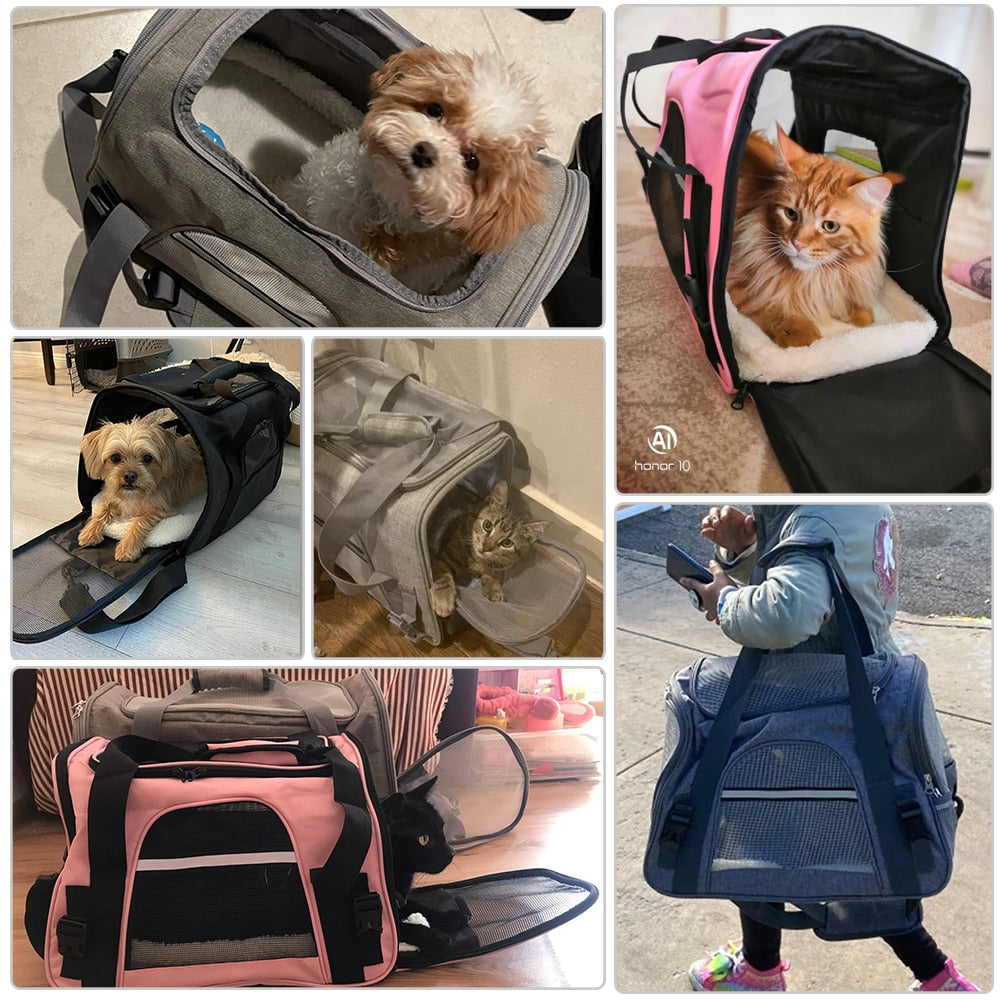 The Perfect Pet Carrier